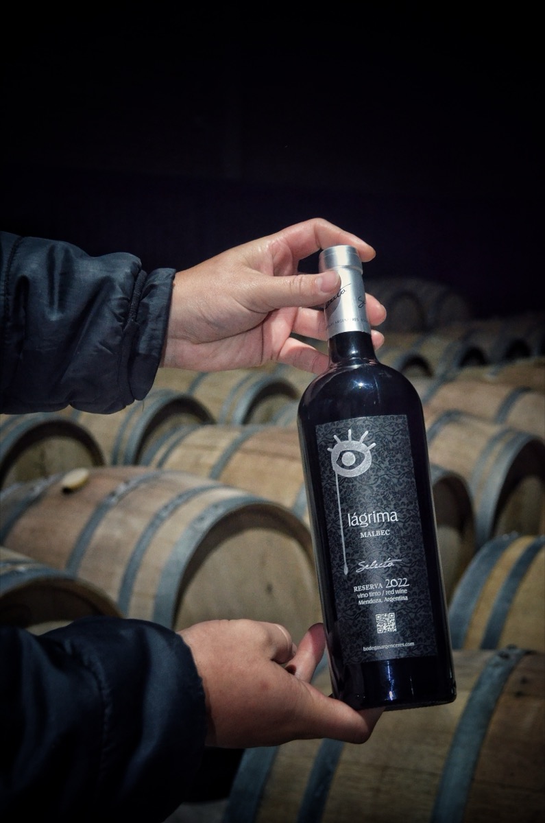 Viñedos San Rafael