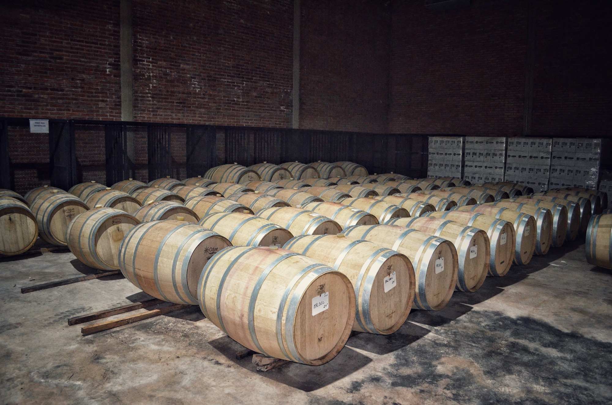 Viñedos de Bodegas Argenceres